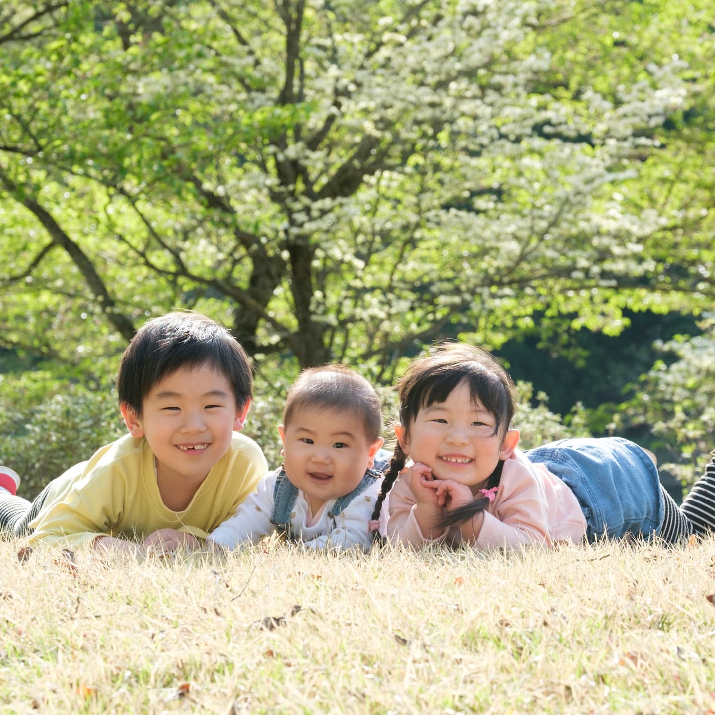 スマイルキッズ2025・子どもと家族の撮影写真 8