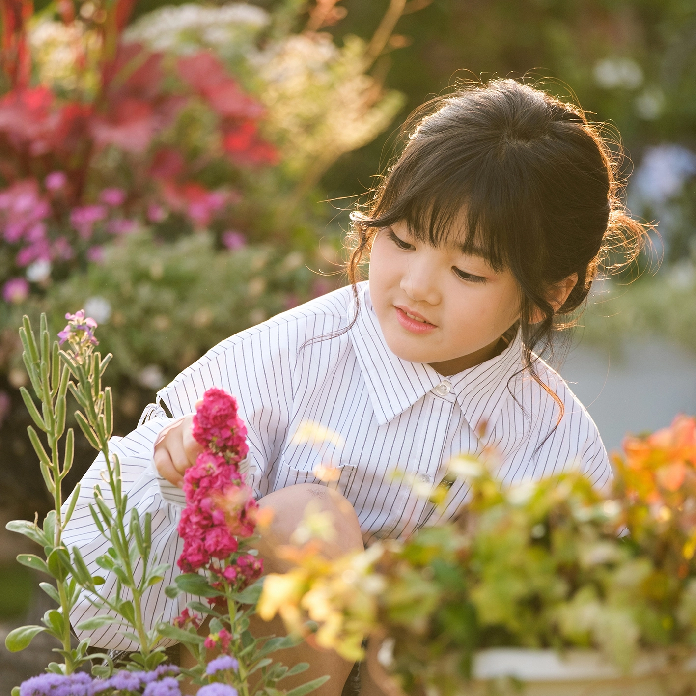 七五三 女の子 着物 ペタルガーデンでお花を見る撮影