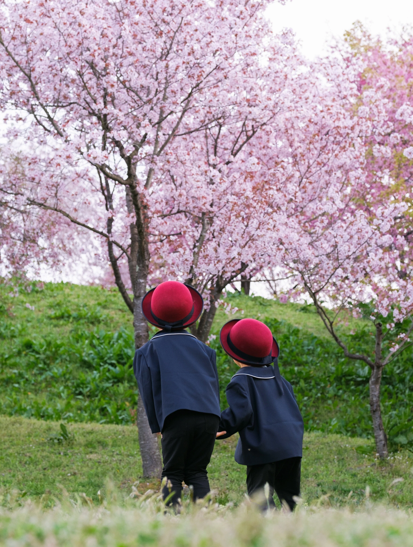 桜ふぉとの例2